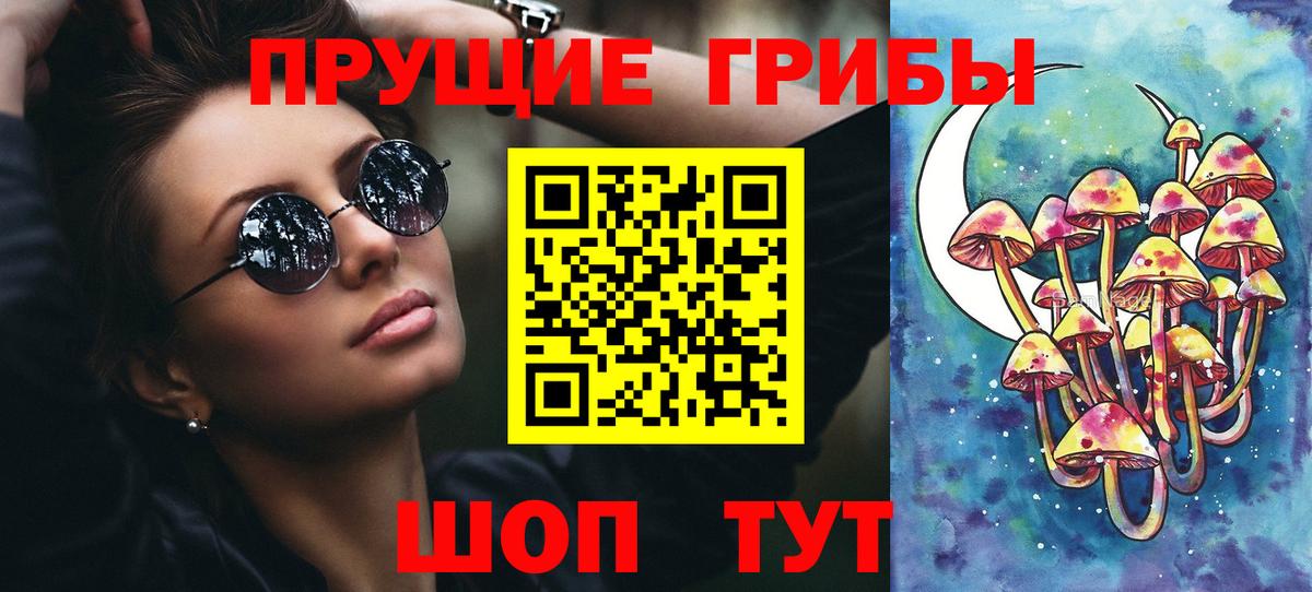 Галлюциногенные грибы Psilocybine cubensis Новокуйбышевск
