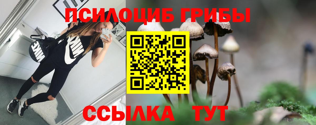 Новокуйбышевск  Псилоцибиновые грибы MAGIC MUSHROOMS  Галлюциногенные грибы ЛСД  Вход с VPN 